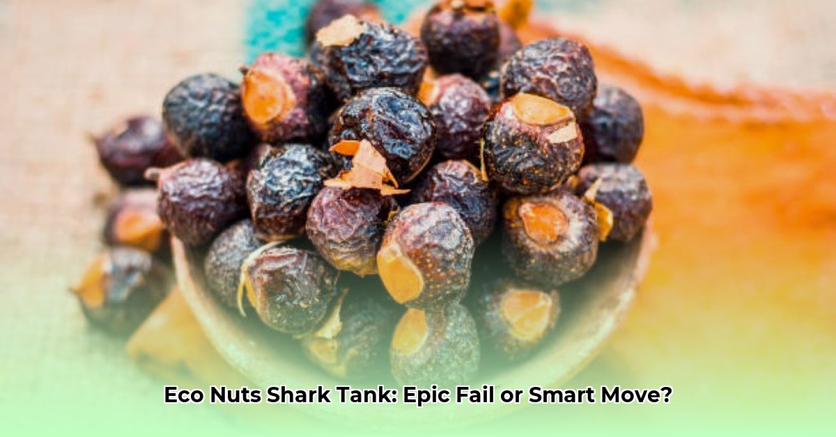 eco-nuts-shark-tank-net-worth